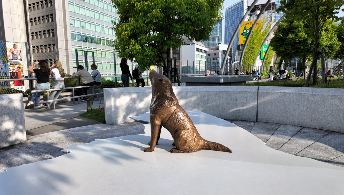 スライダー画像